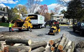 Best Tree Health Inspection  in Elk Grove, CA