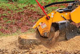 Best Tree Mulching  in Elk Grove, CA